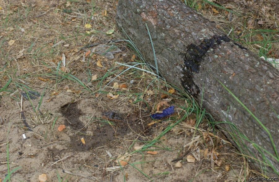 Dünner Teenie pinkelt im Wald