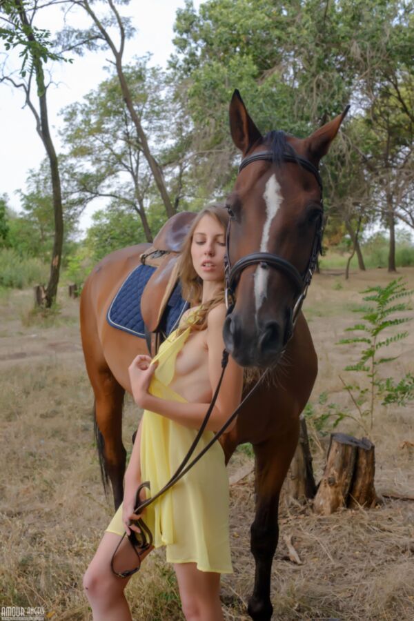 Horse and Nature