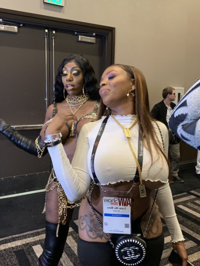 AVN Expo 2020