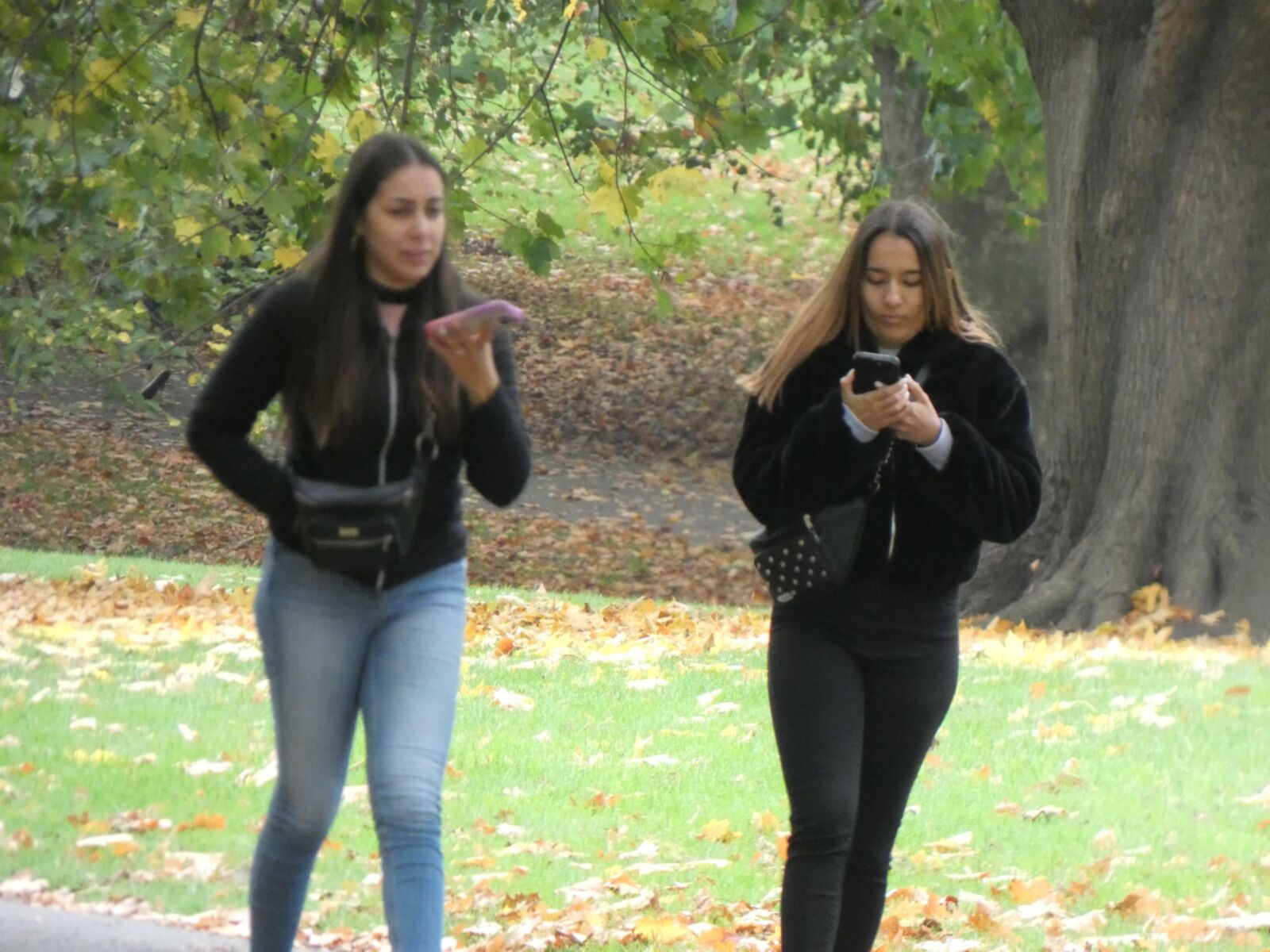 Beautiful girls in jeans