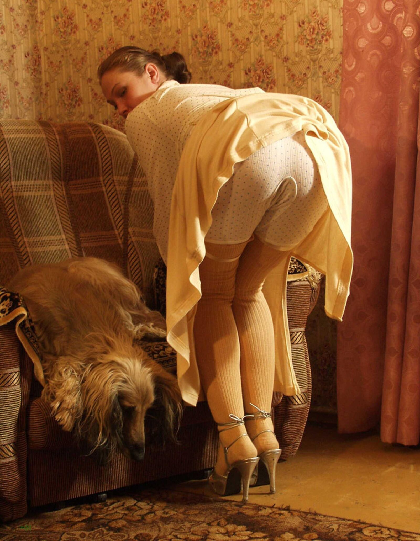 若い毛深いロシア人の雌犬