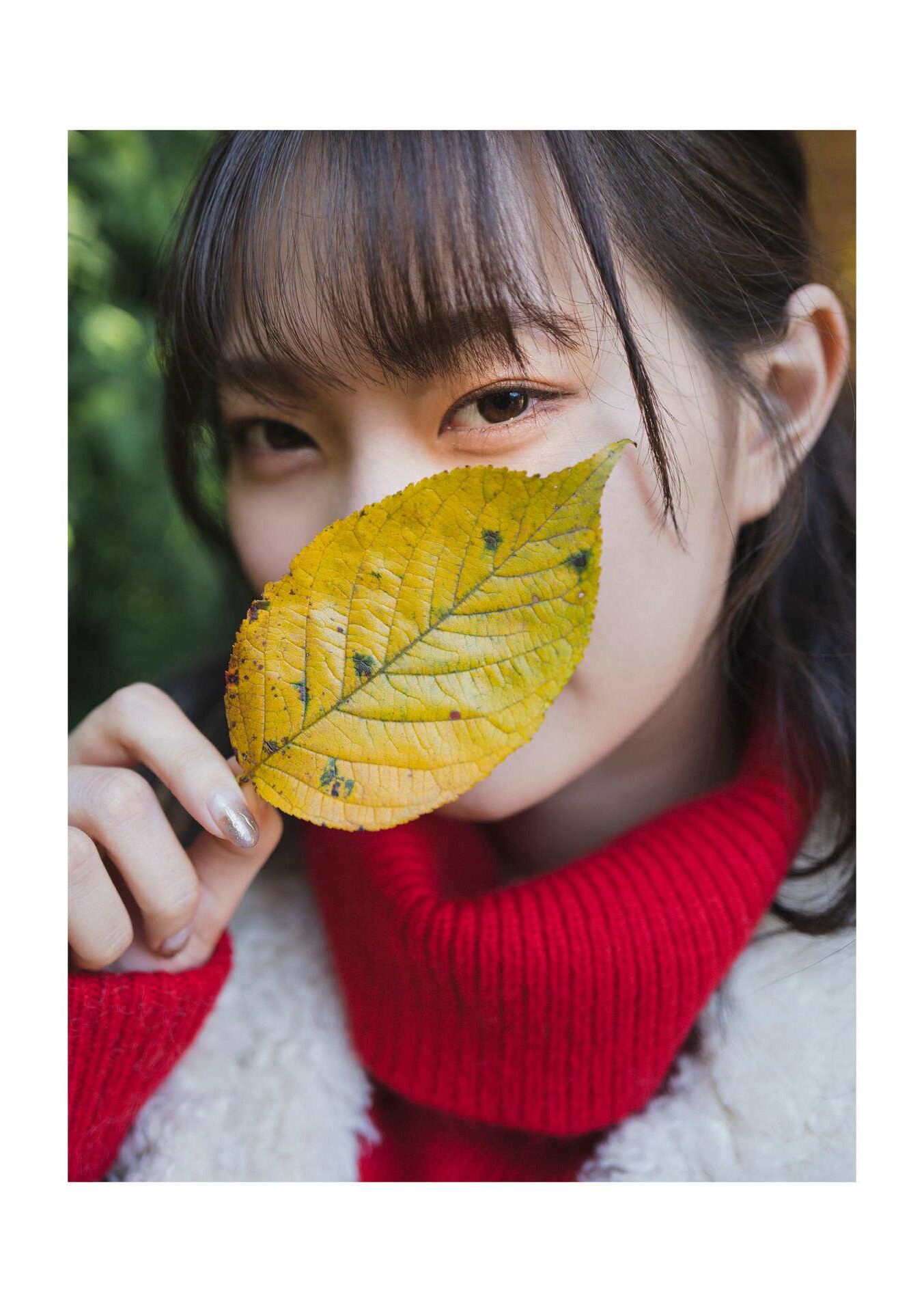 Akari Mitani Fotolibro Toraedchi