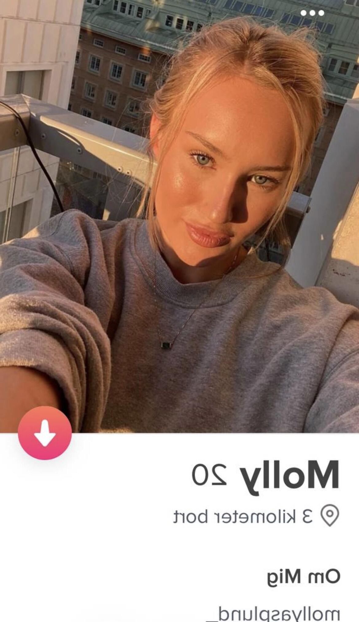 Schwedische Tinder-Schlampen