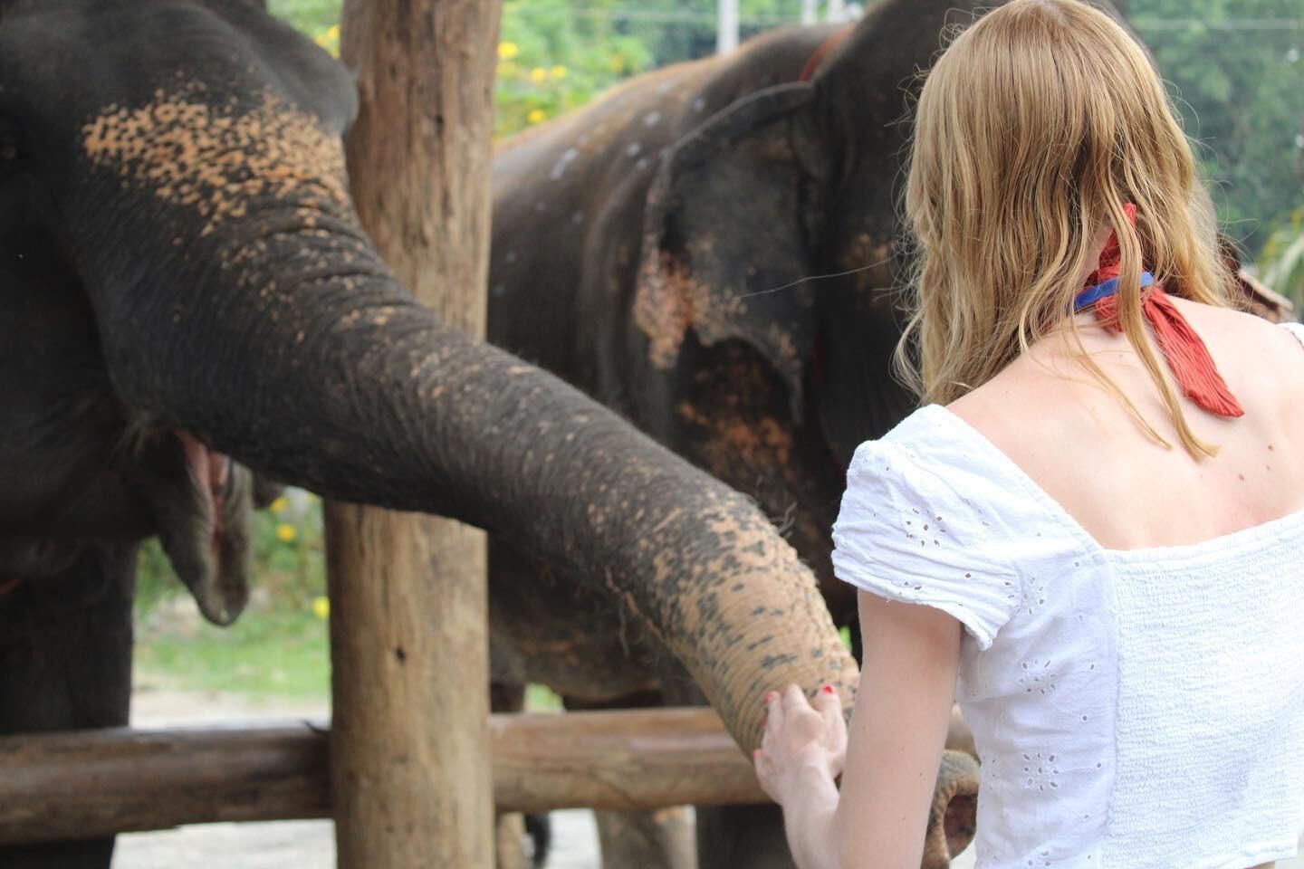 Geile Wichsvorlage Anna, nettes blondes deutsches Mädchen