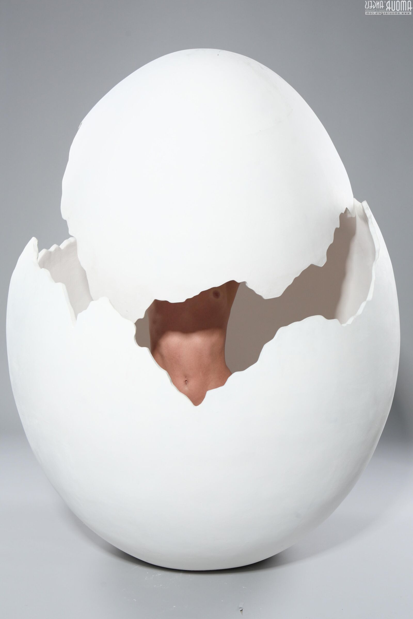 Hatching An Egg