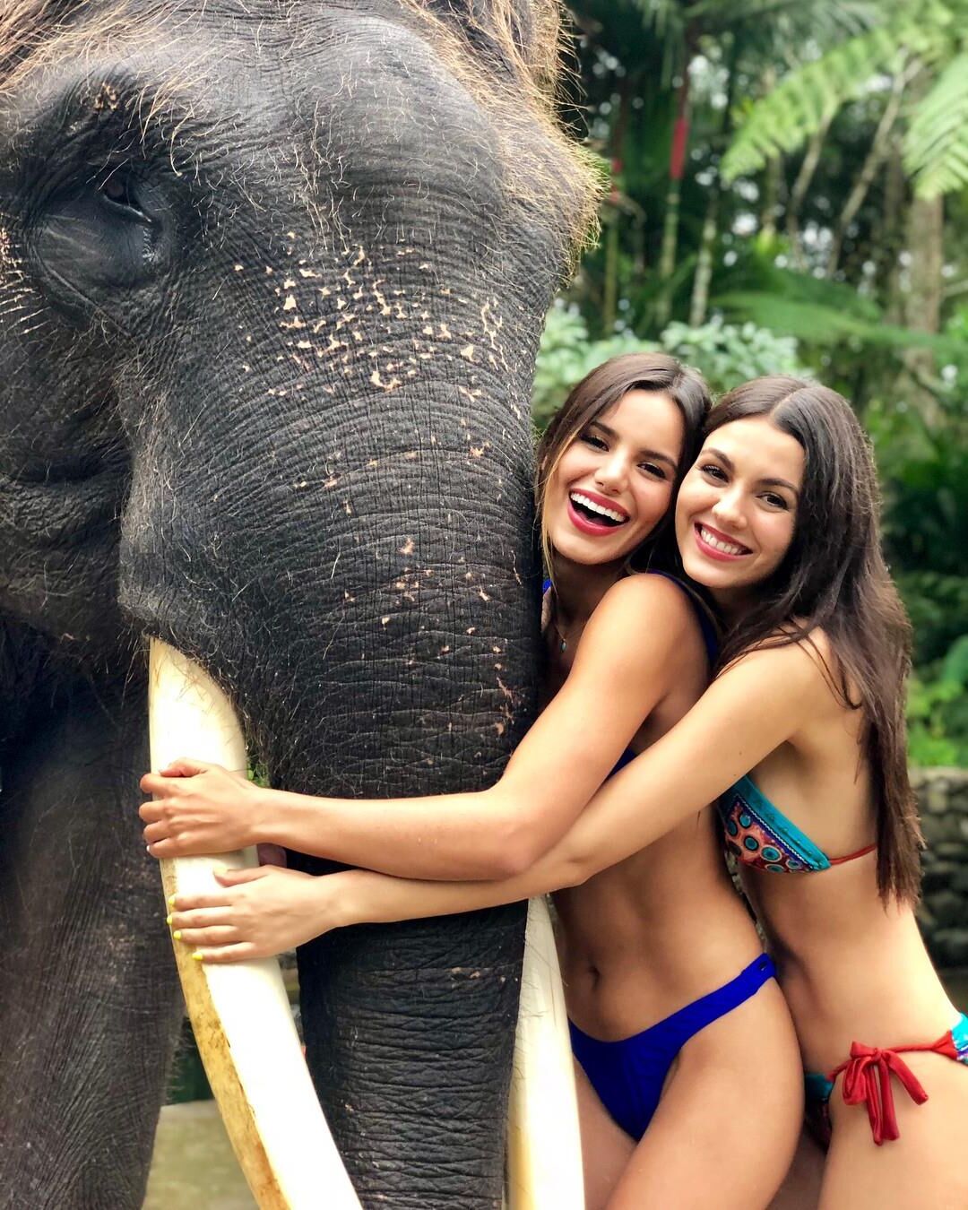 Victoria Justice Beautiful Miadriff Pics