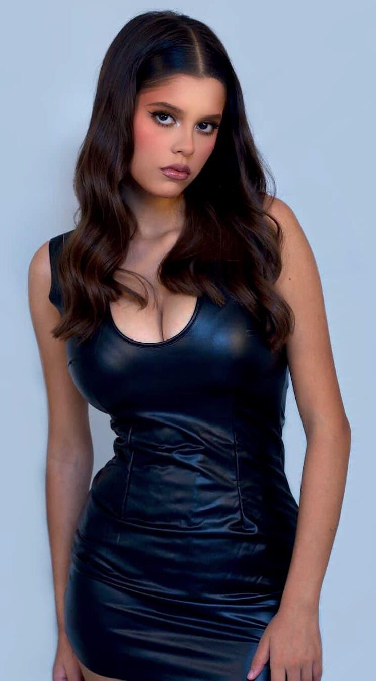 Model Mix 