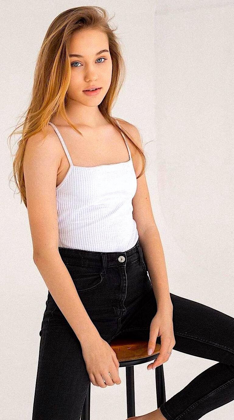 モデルミックス