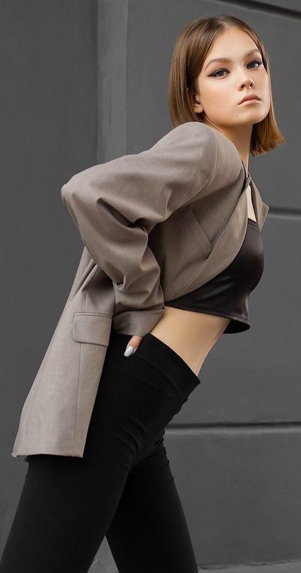 モデルミックス