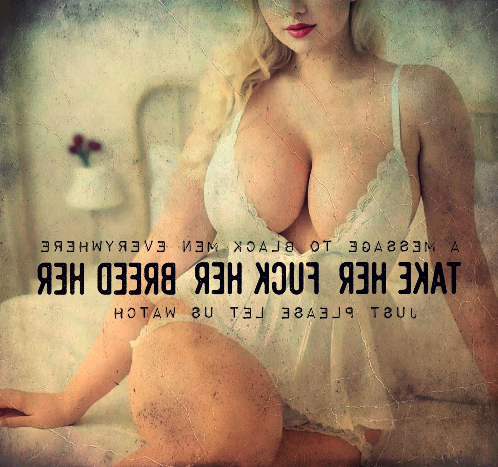 Snowbunny Generation (Volume ) 