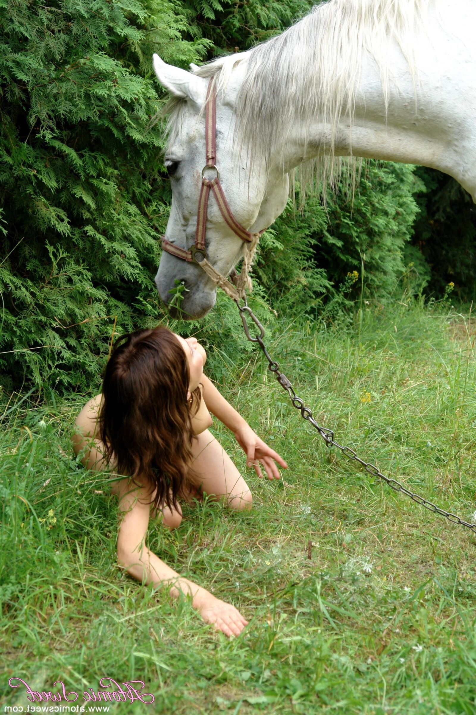 Atomicsweet Dary Horse x