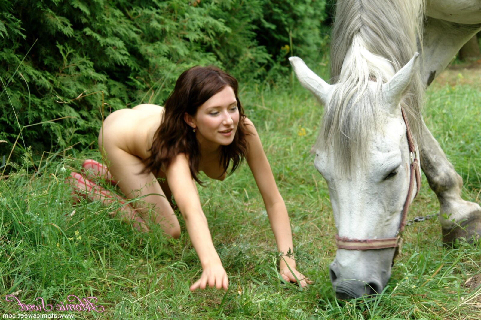 Atomicsweet Dary Horse x