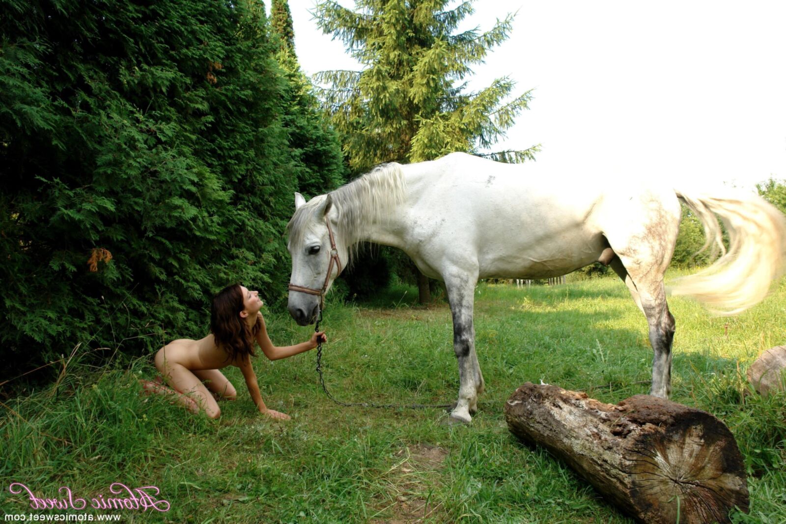 Atomicsweet Dary Horse x