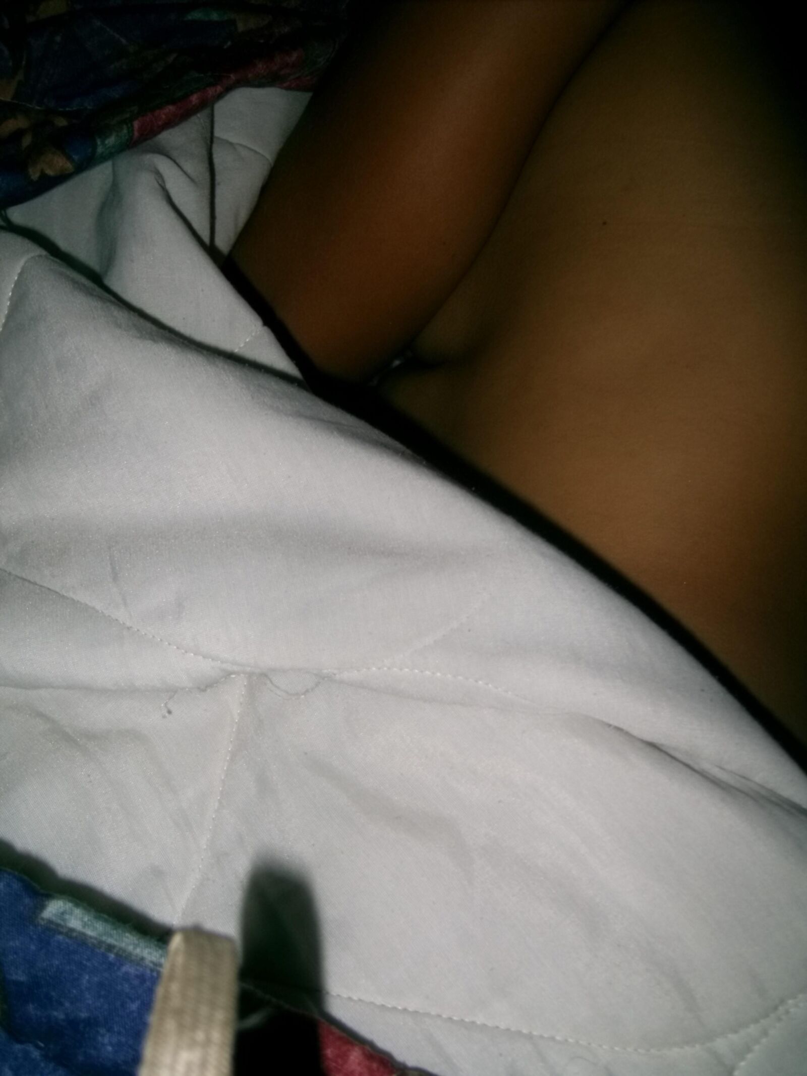 Dormida