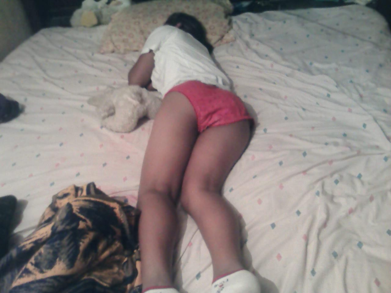 Dormida