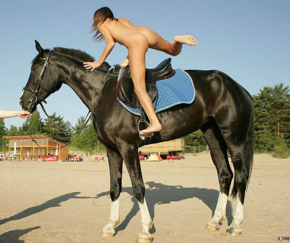 Chicas y caballos