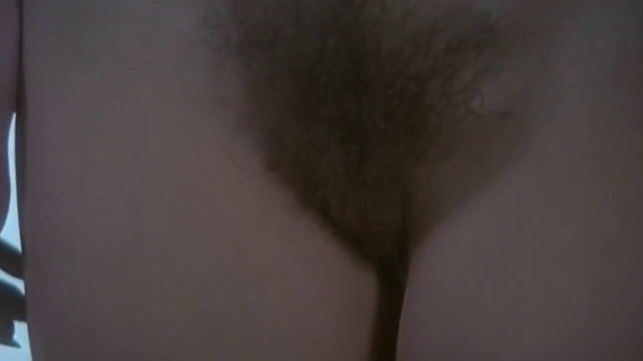 Varios