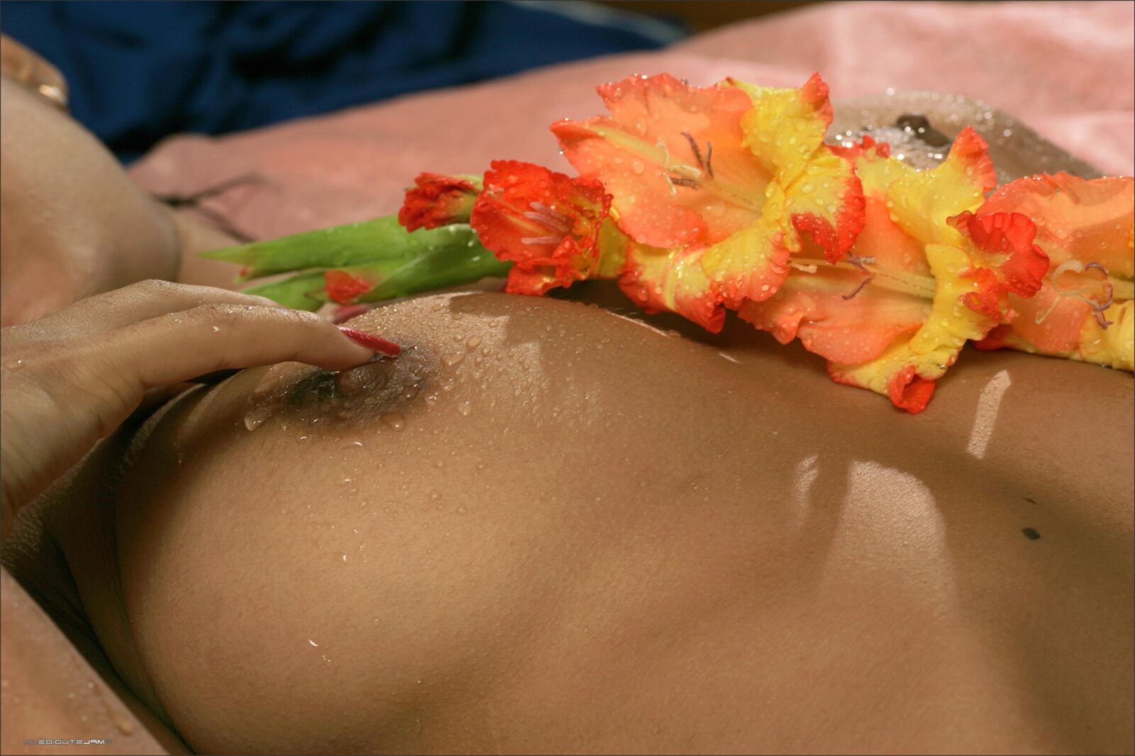 Kamilla Wet Newer Ups Nipples, Landing Stray, Lindo Butt, Eye