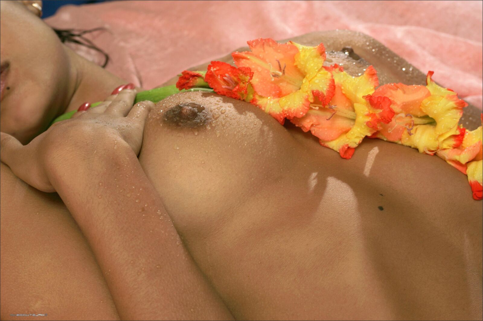 Kamilla Wet Newer Ups Nipples, Landing Stray, Lindo Butt, Eye
