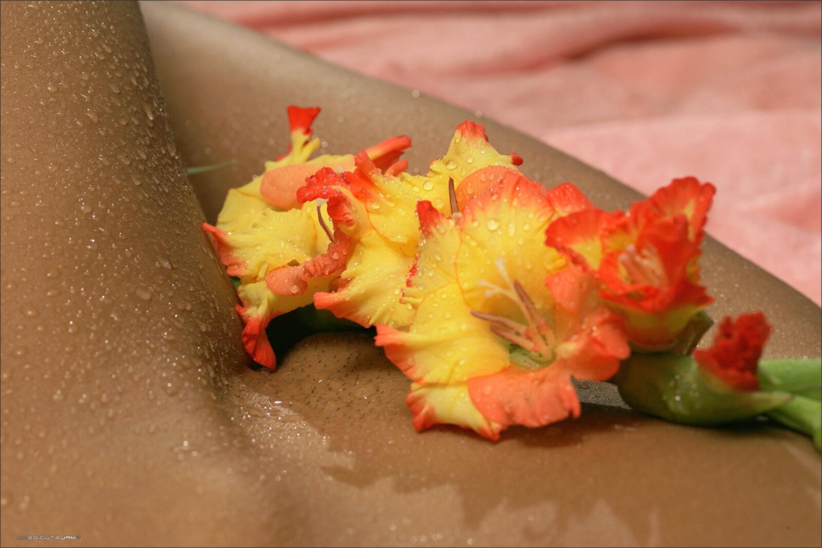 Kamilla Wet Newer Ups Nipples, Landing Stray, Lindo Butt, Eye