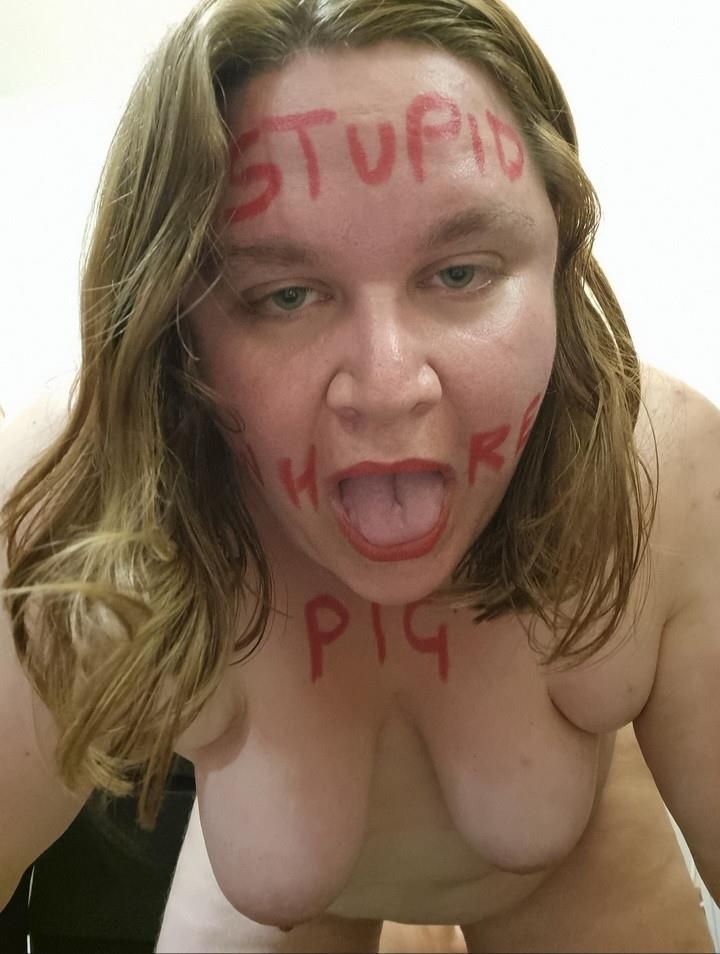 Pig 