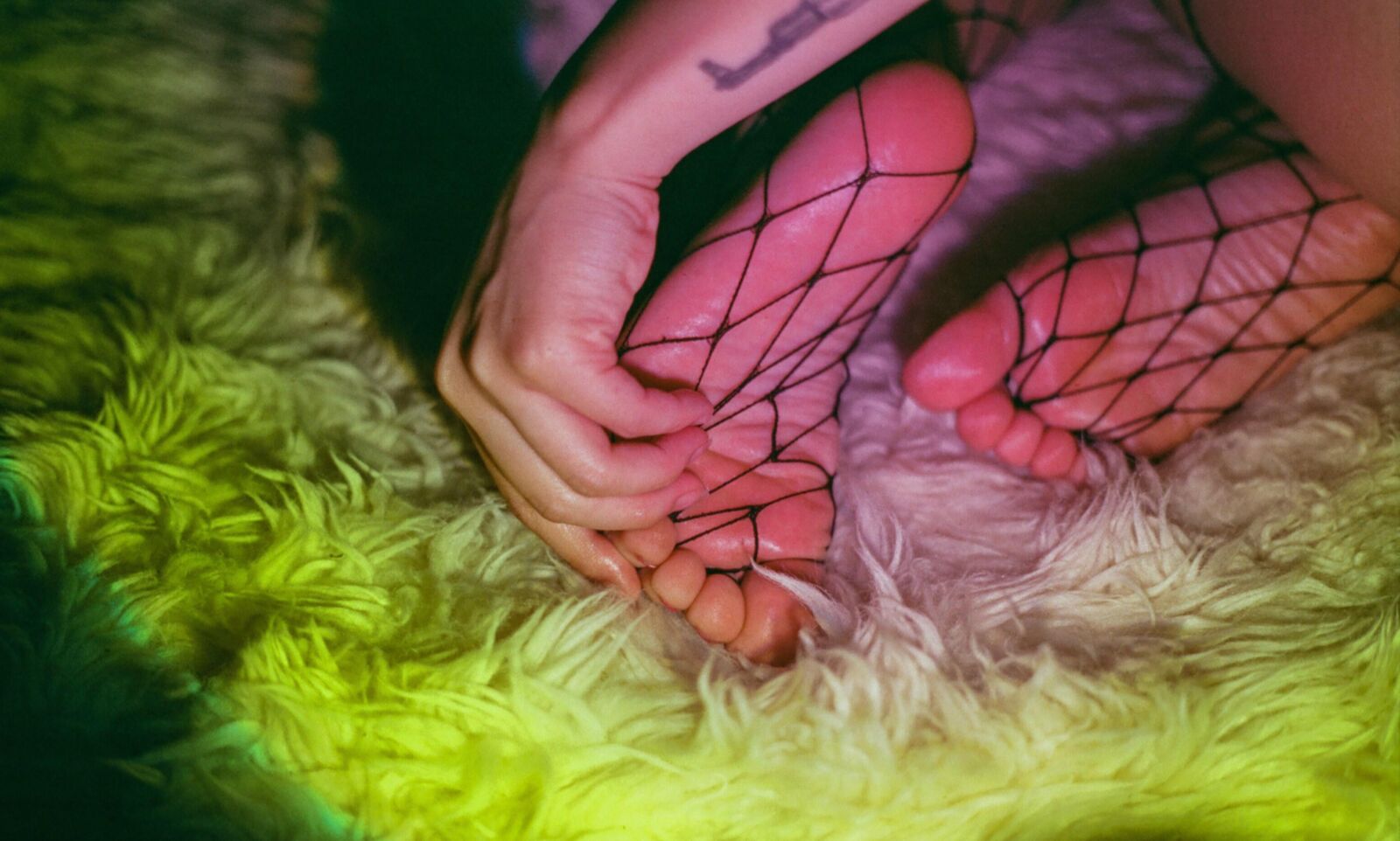 Bunnis cute feet