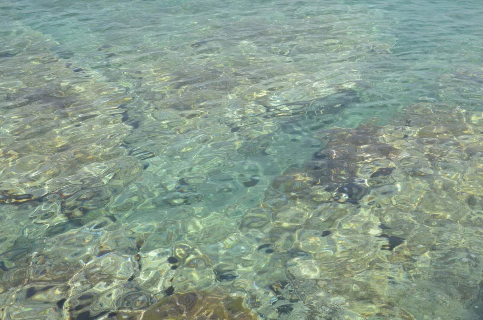 As_ lésbicas tchecas de Morávia em Island Muter, Croácia