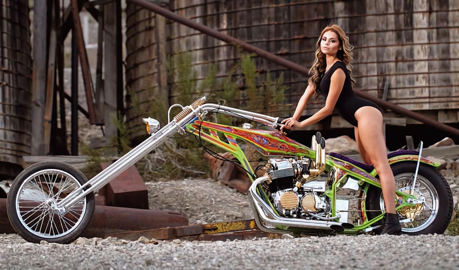 Biker Chicks Moto Girls 