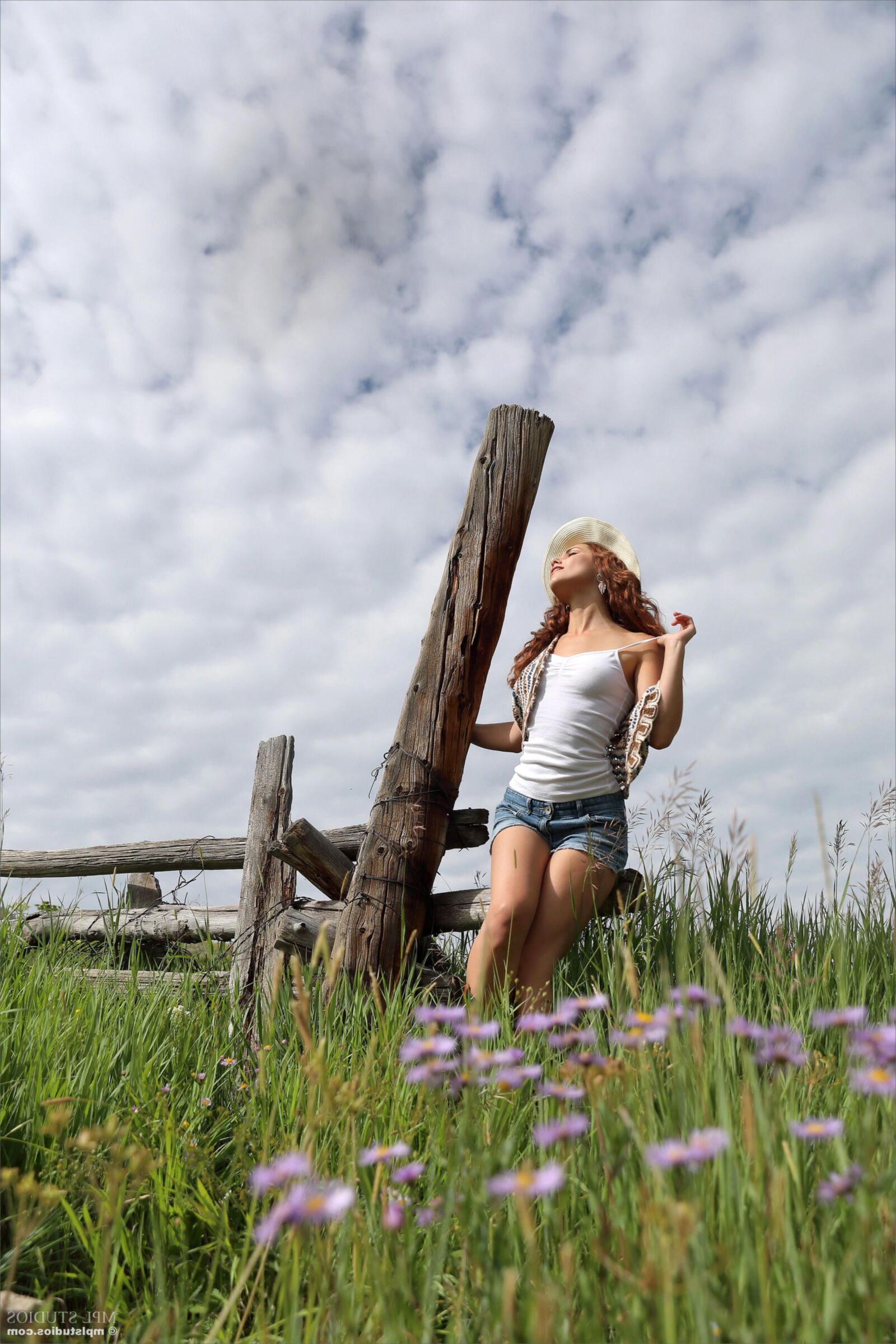 Elena Flowow Meadow
