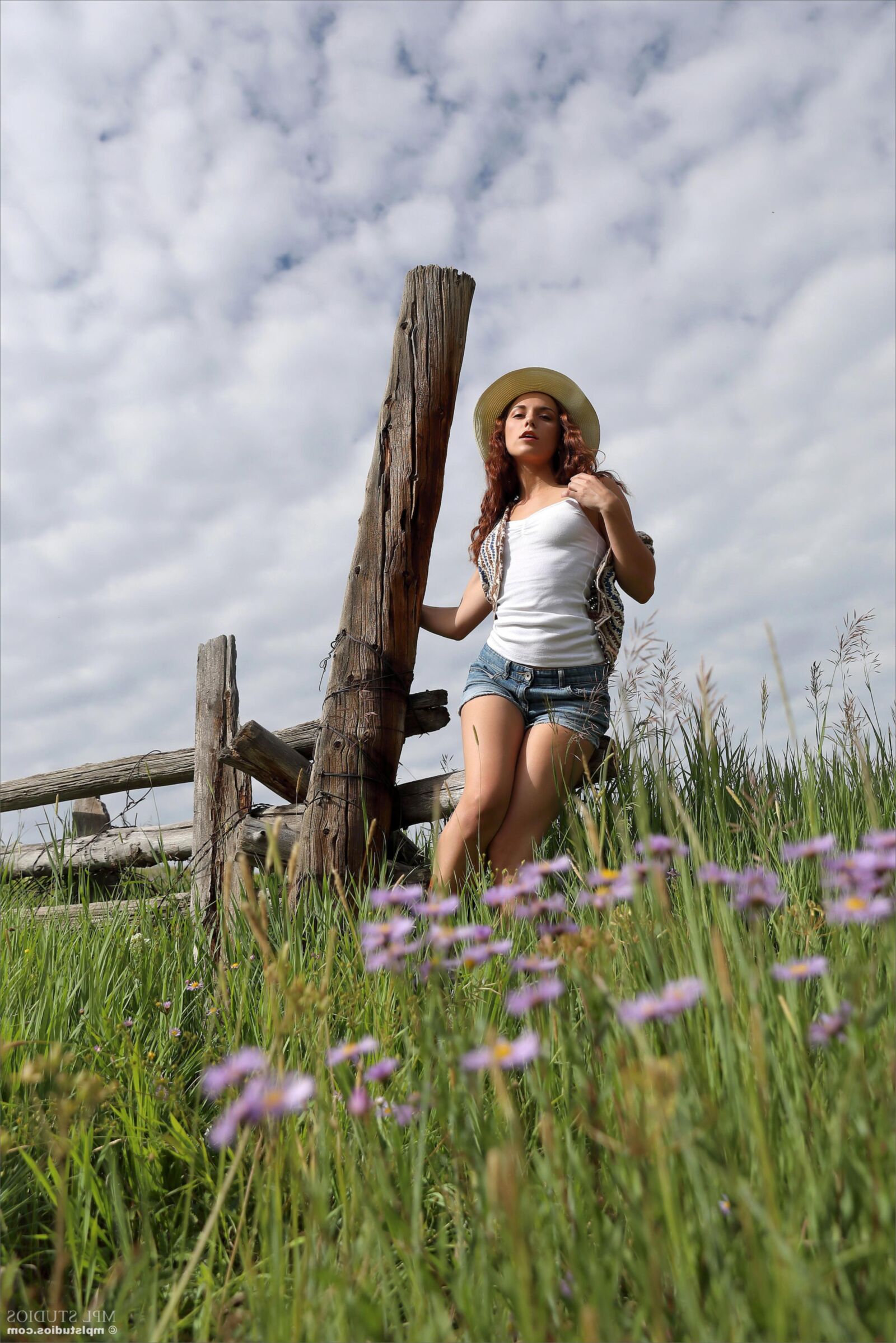 Elena Flowow Meadow