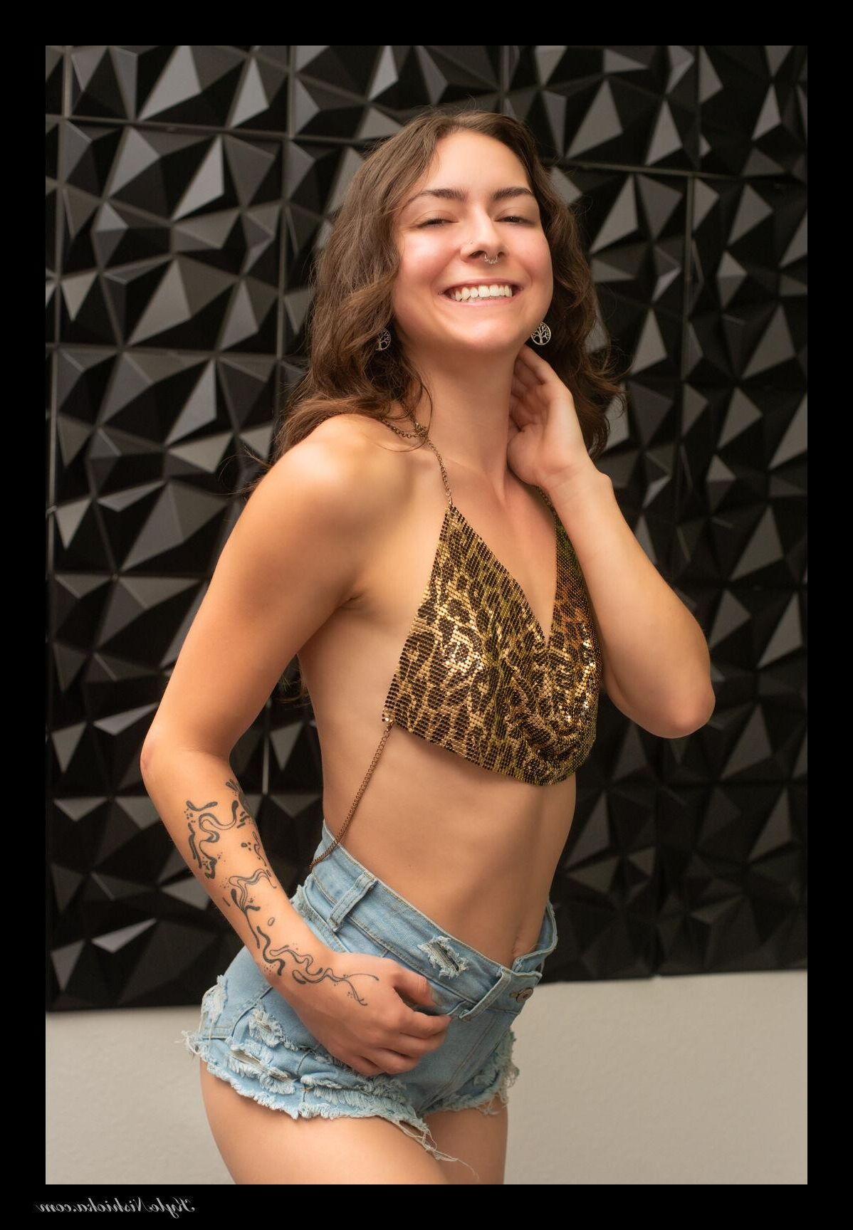 Harley Model
