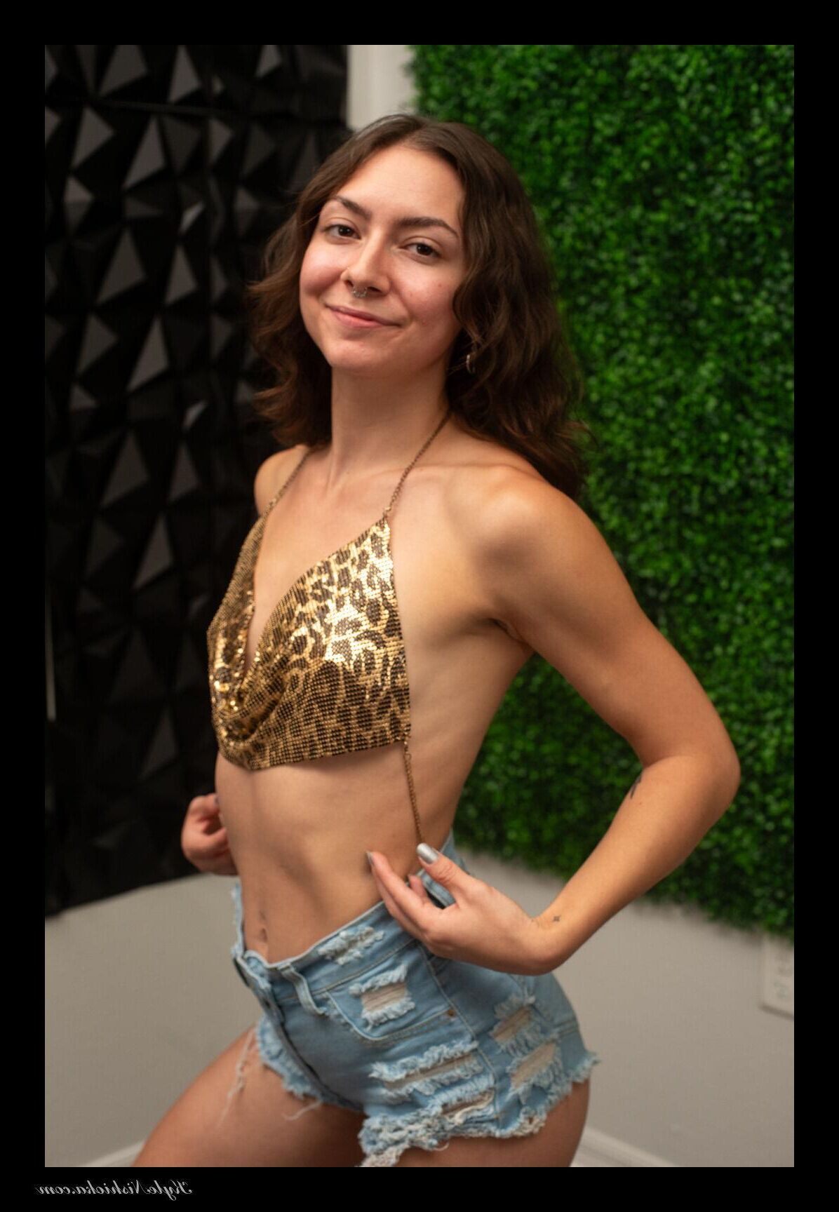 Harley Model