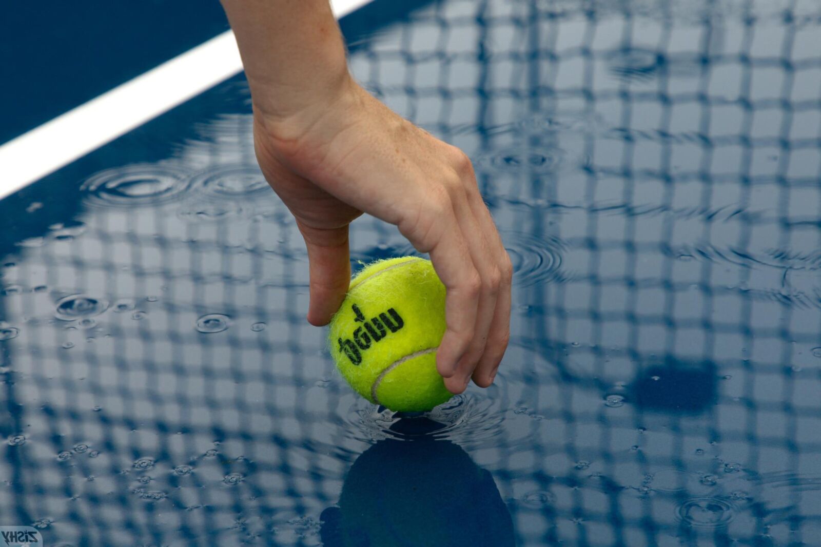 Moon Torrance Versus Tennis