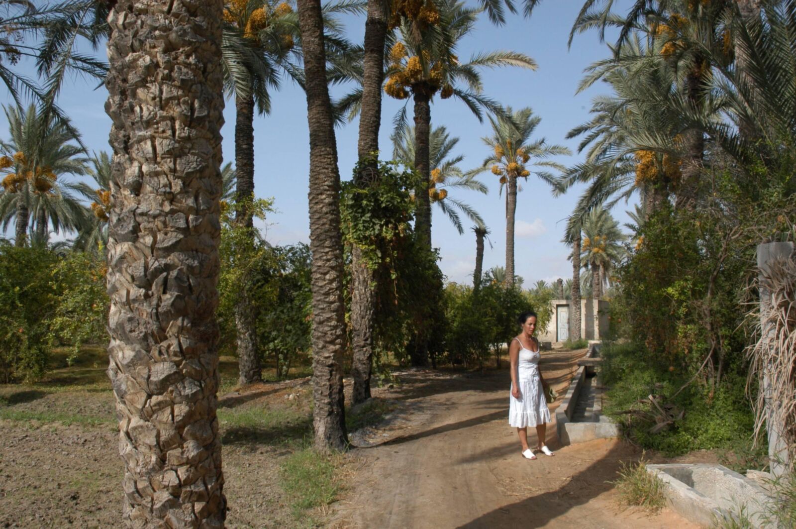 Milf naked vacations in Morocco 