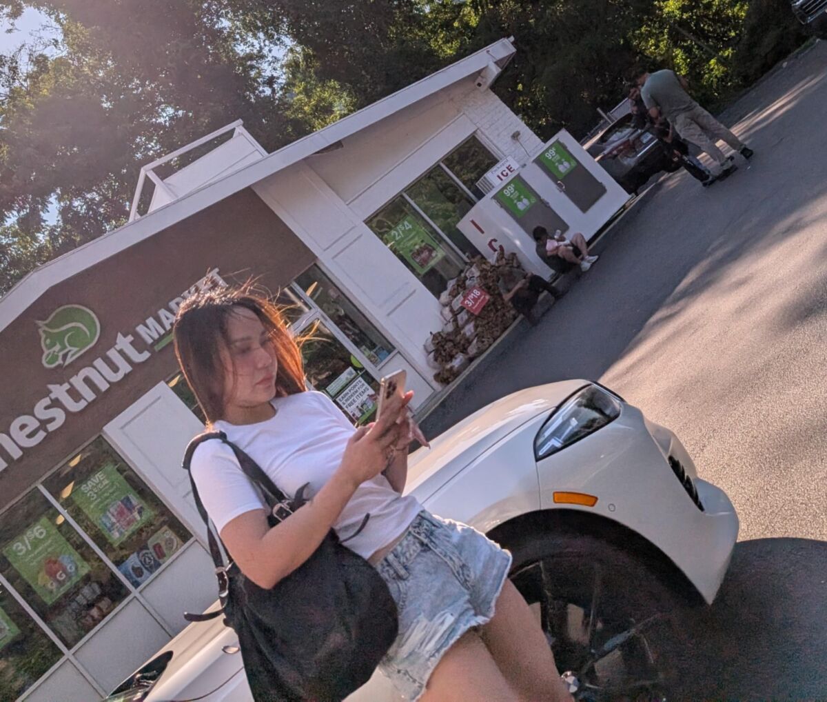 Road Voyeur