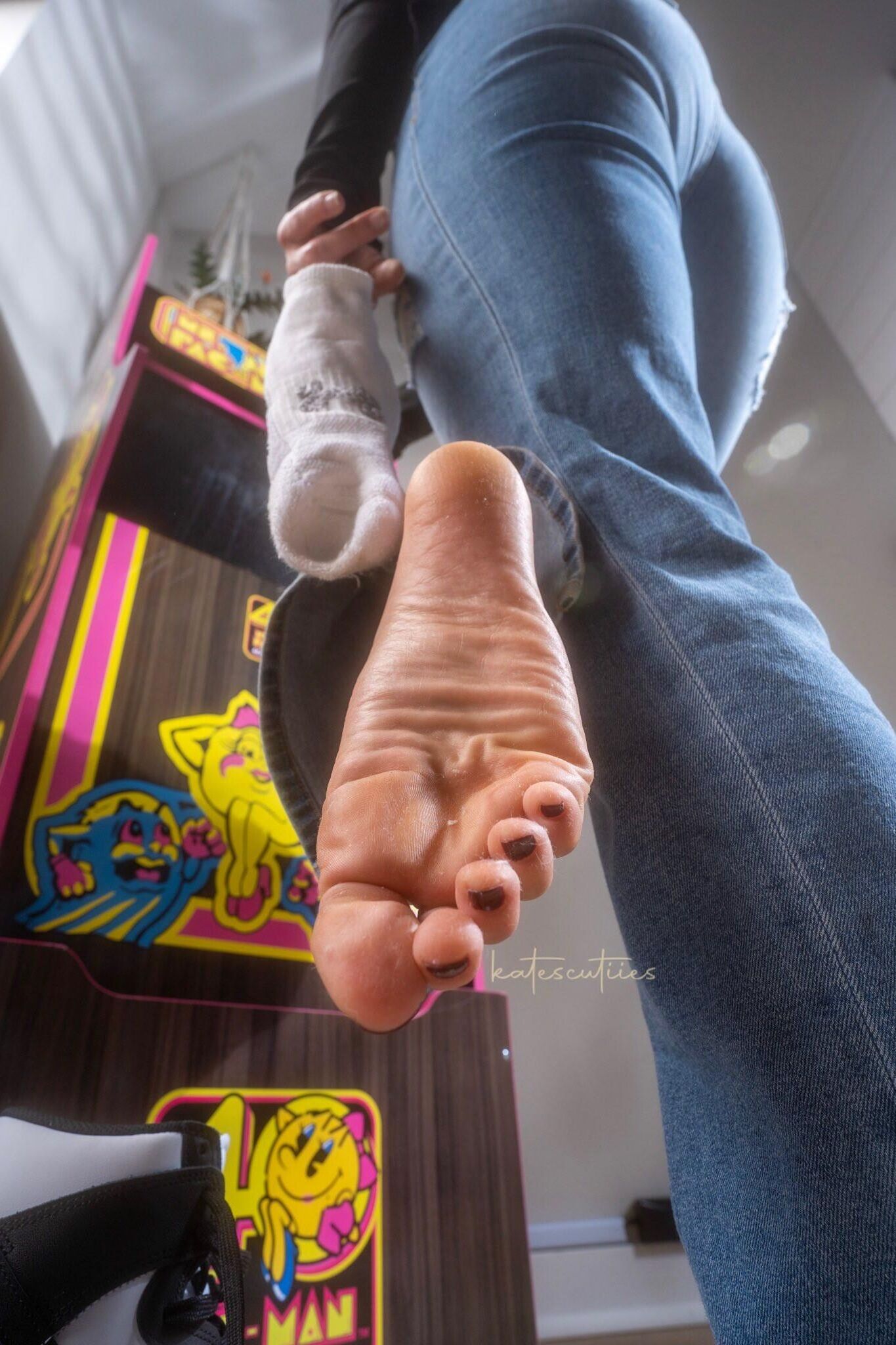 Katescutiies