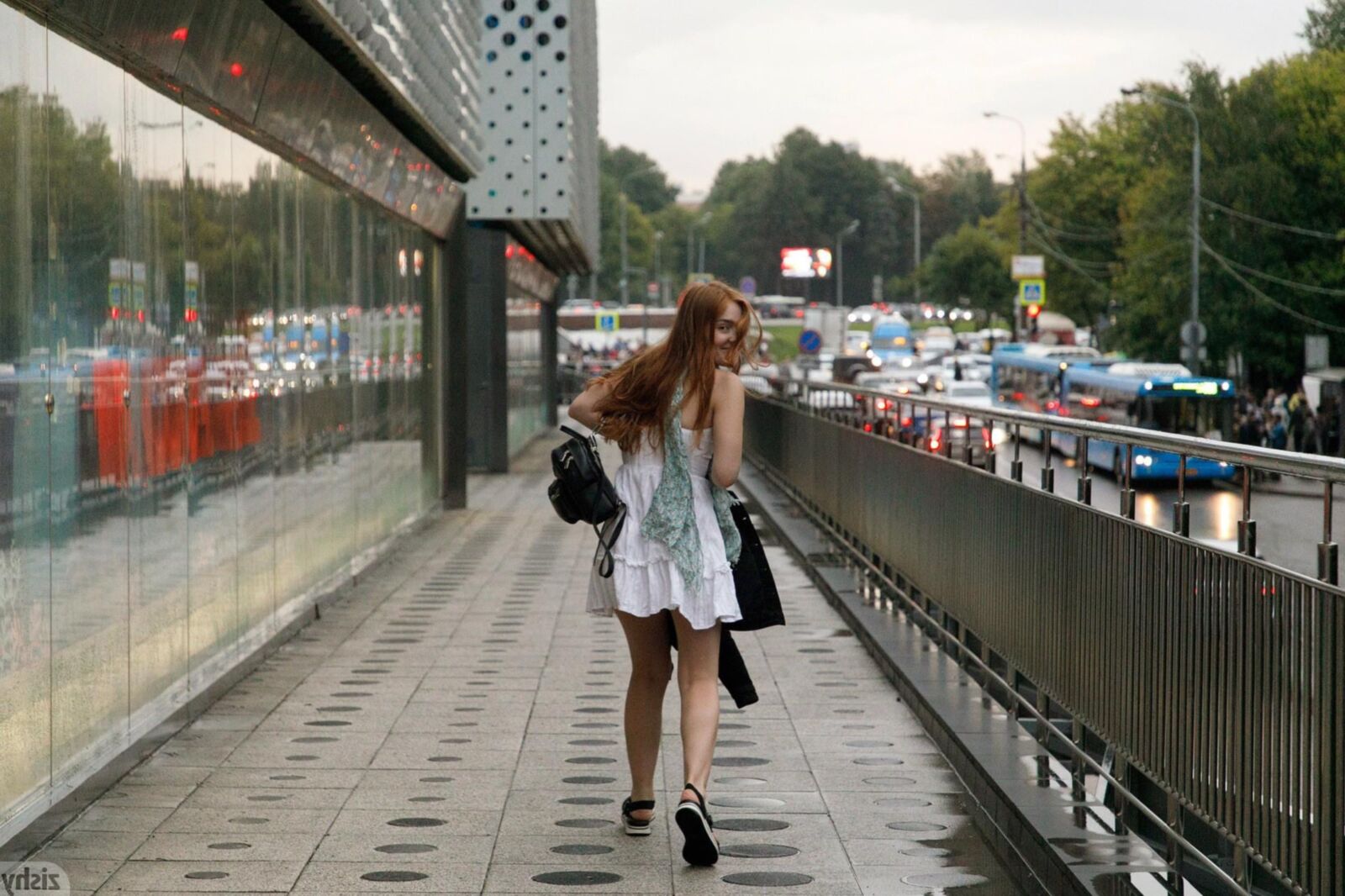 Zishy Jia Lissa der russische Zimt (NN)