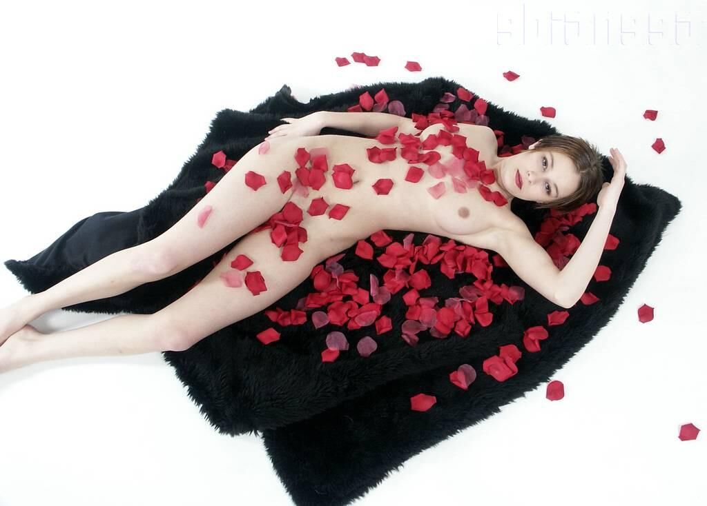 TeenTide Dawn Roses (x)