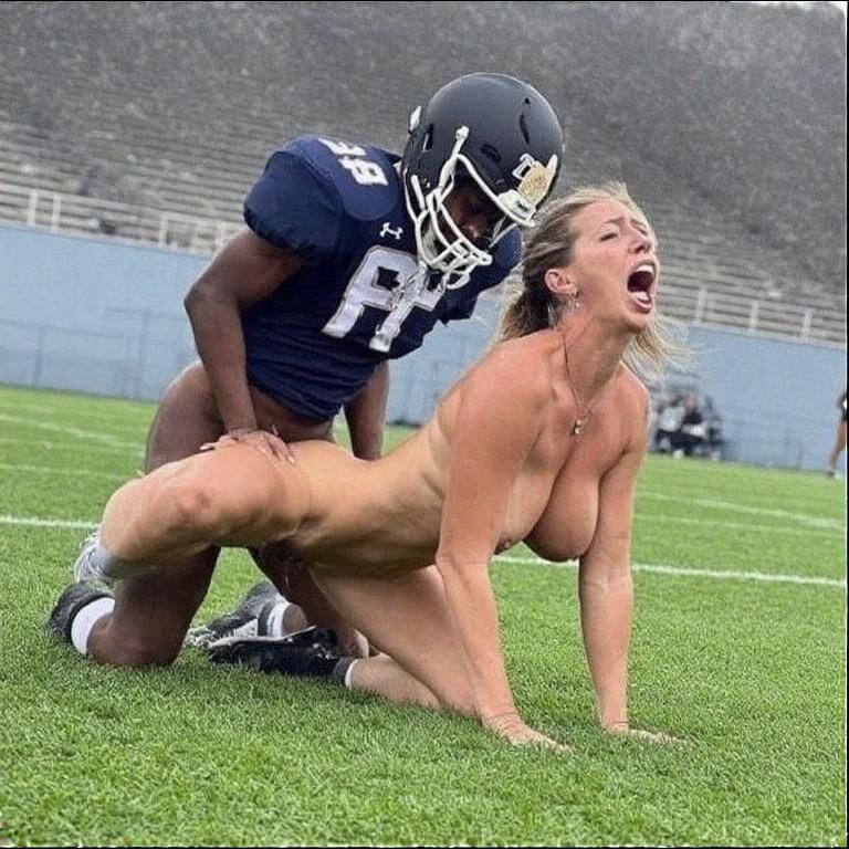 Cougars supporting local sports (AI)