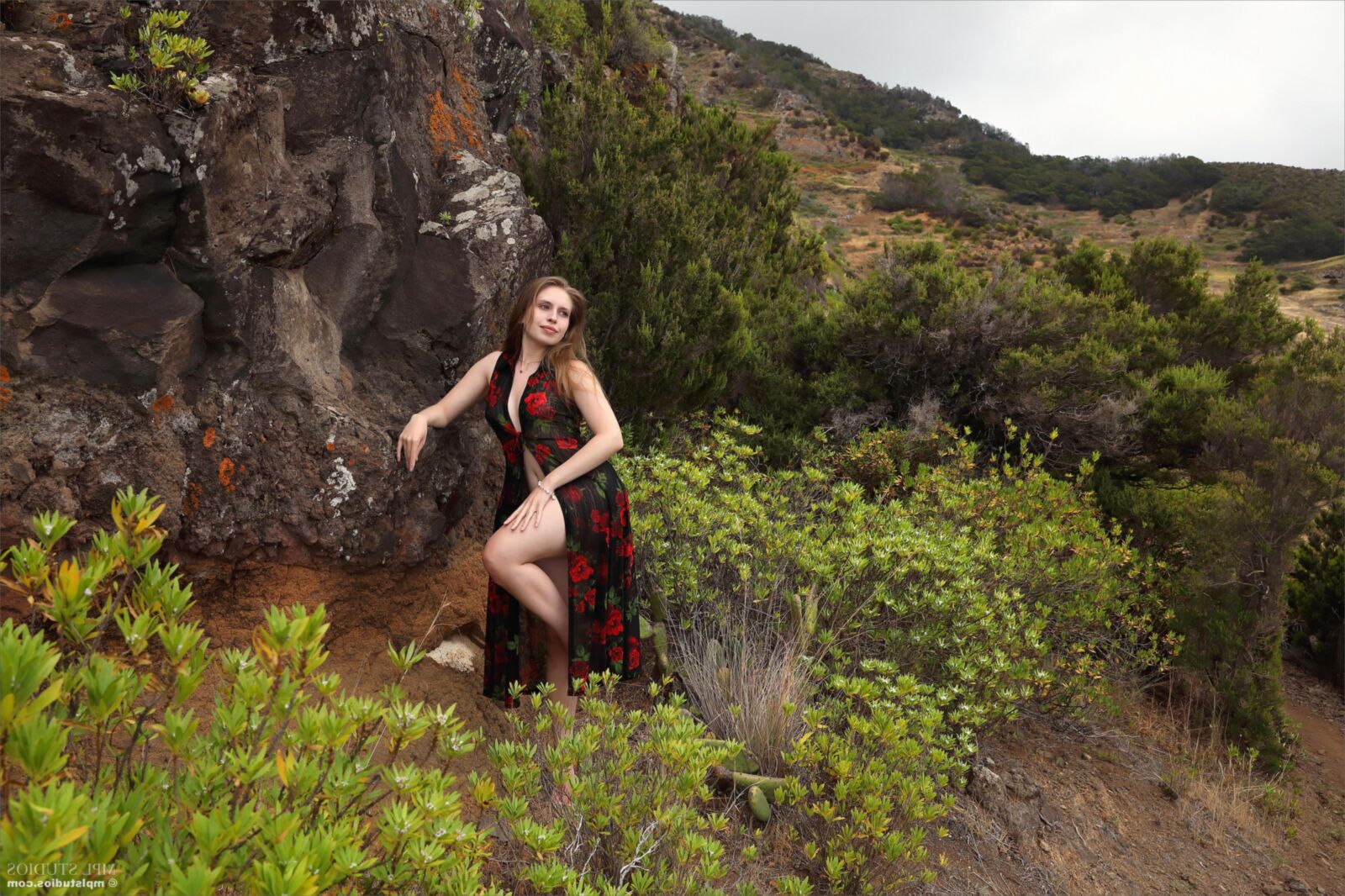 Aristeia Island of Eternal Spring ( )