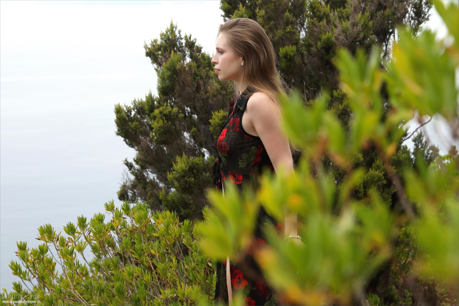 Aristeia Island of Eternal Spring ( )