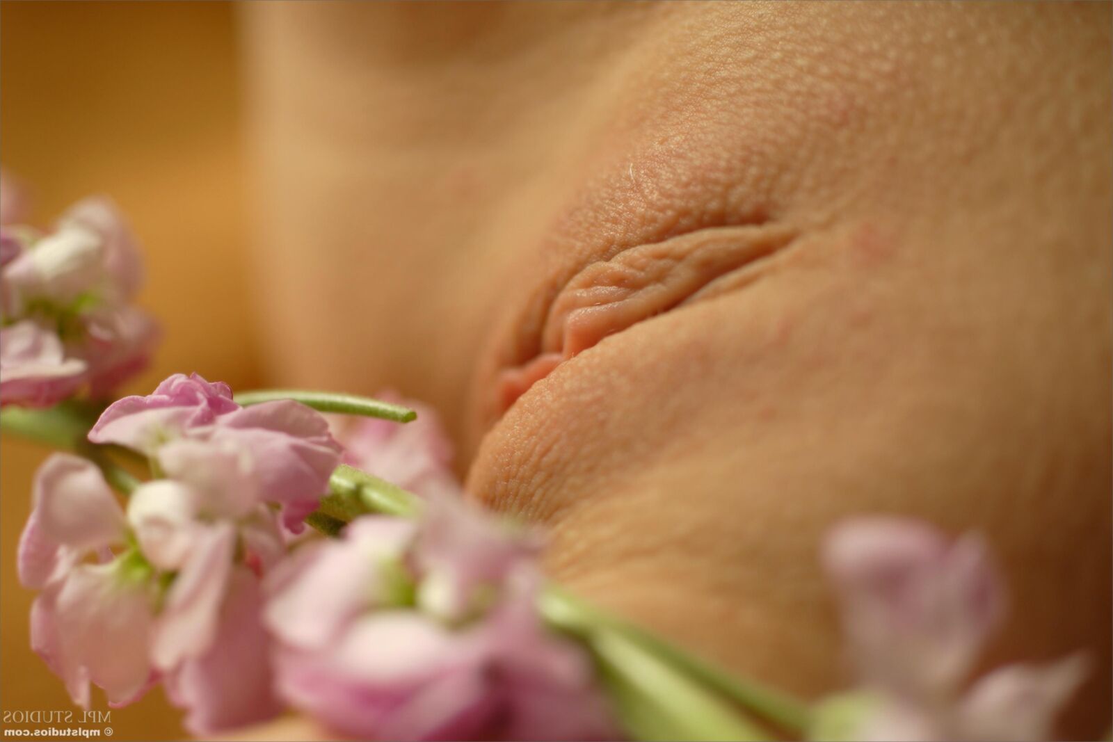 MplStudios Ava Petals au printemps