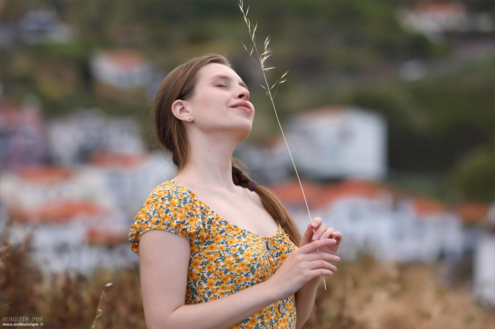 Aristteia miradouro ()