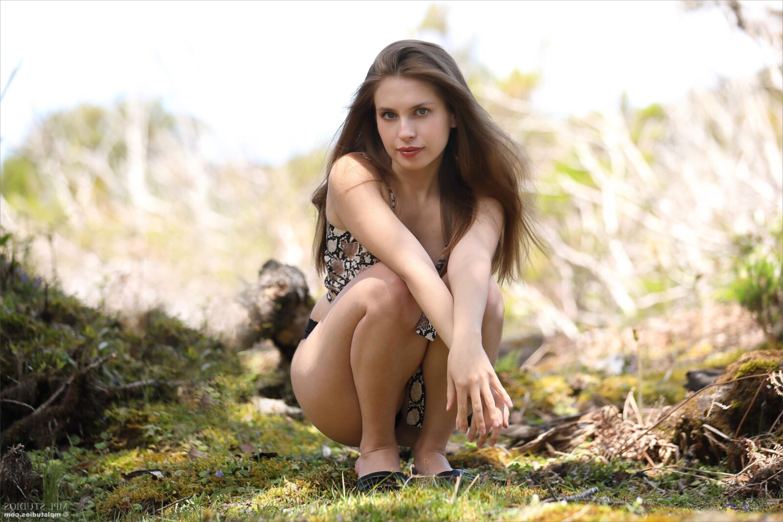 Aristteia Nature's Moment ()