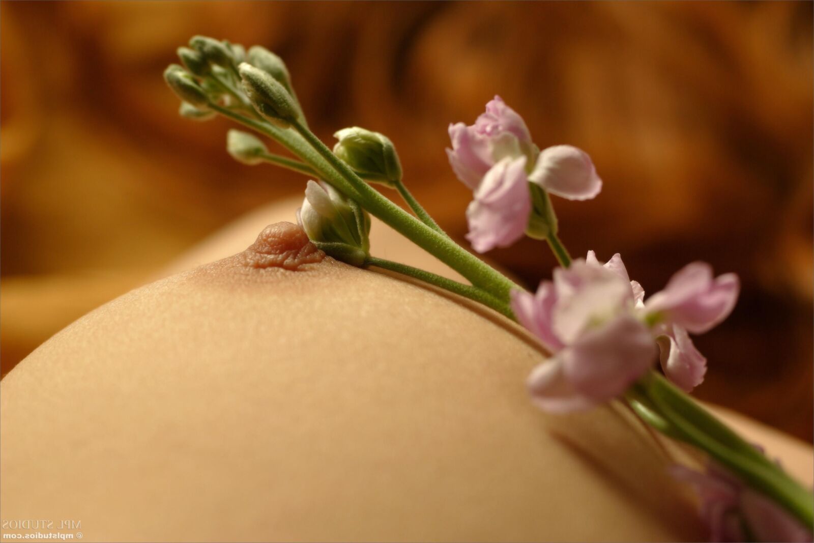 MplStudios Ava Petals au printemps