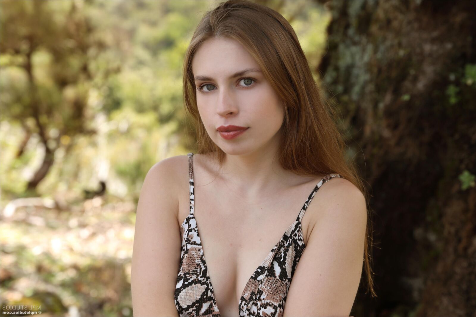 Aristteia Nature's Moment ()