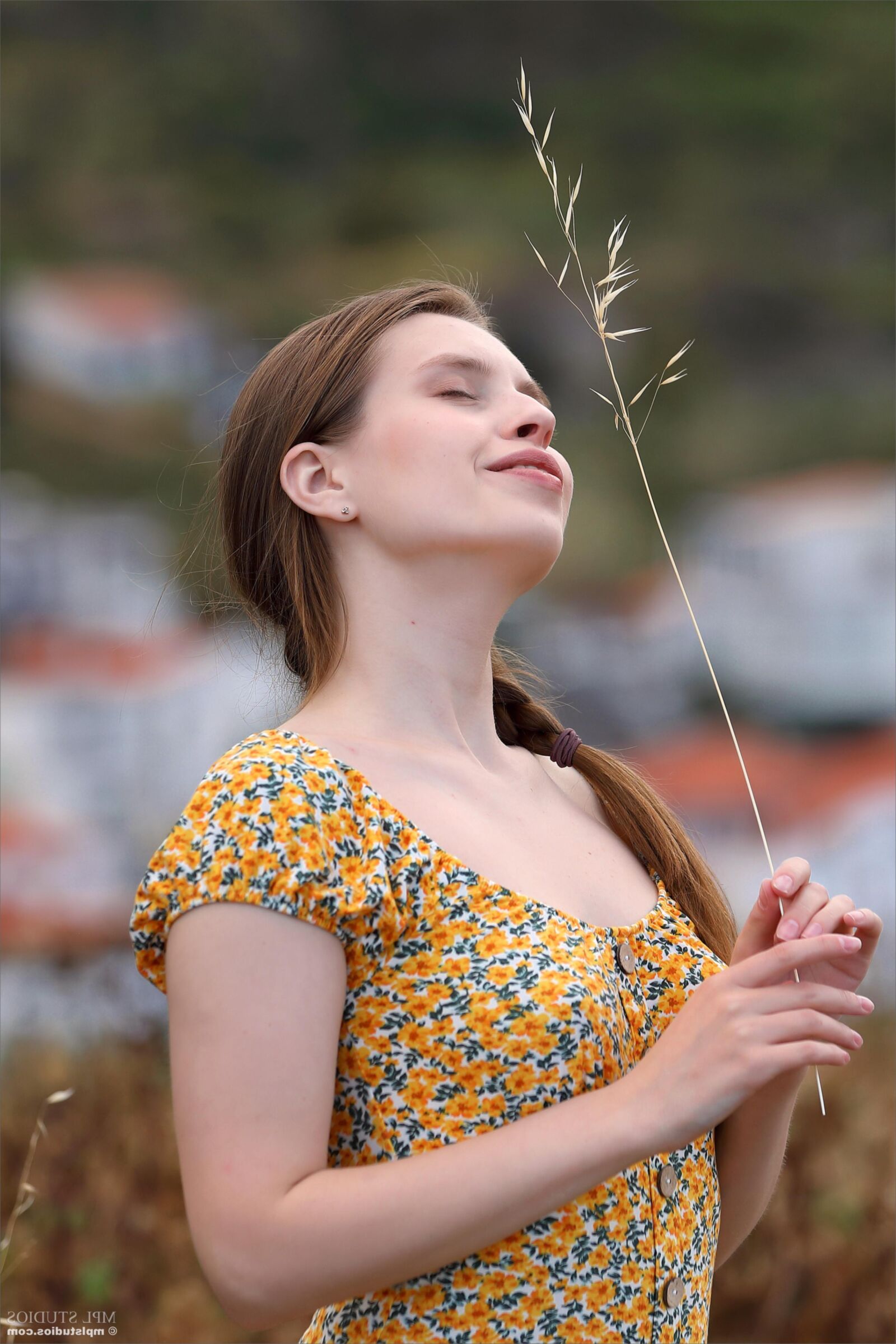 Aristteia miradouro ()