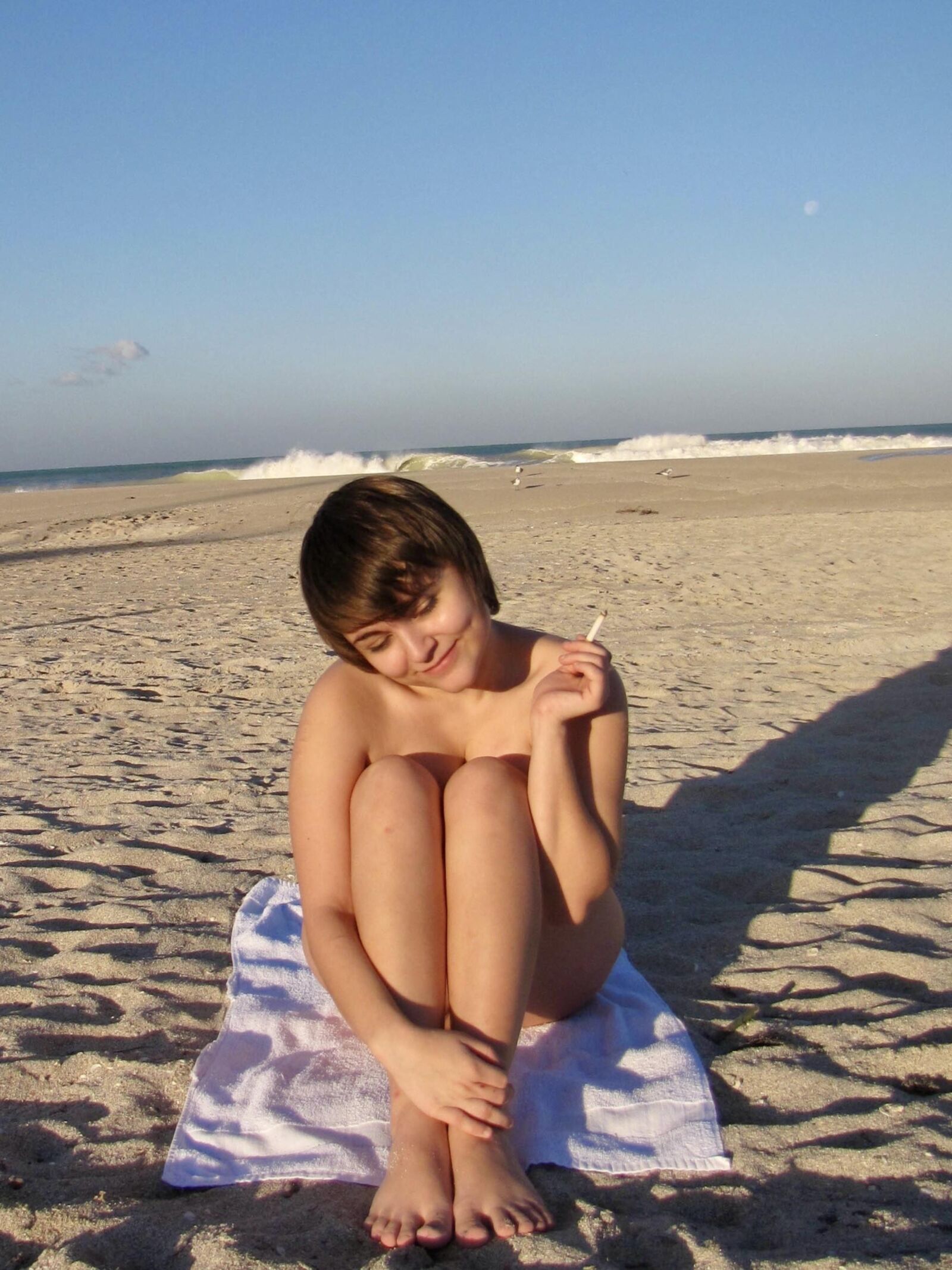 Perra en la playa