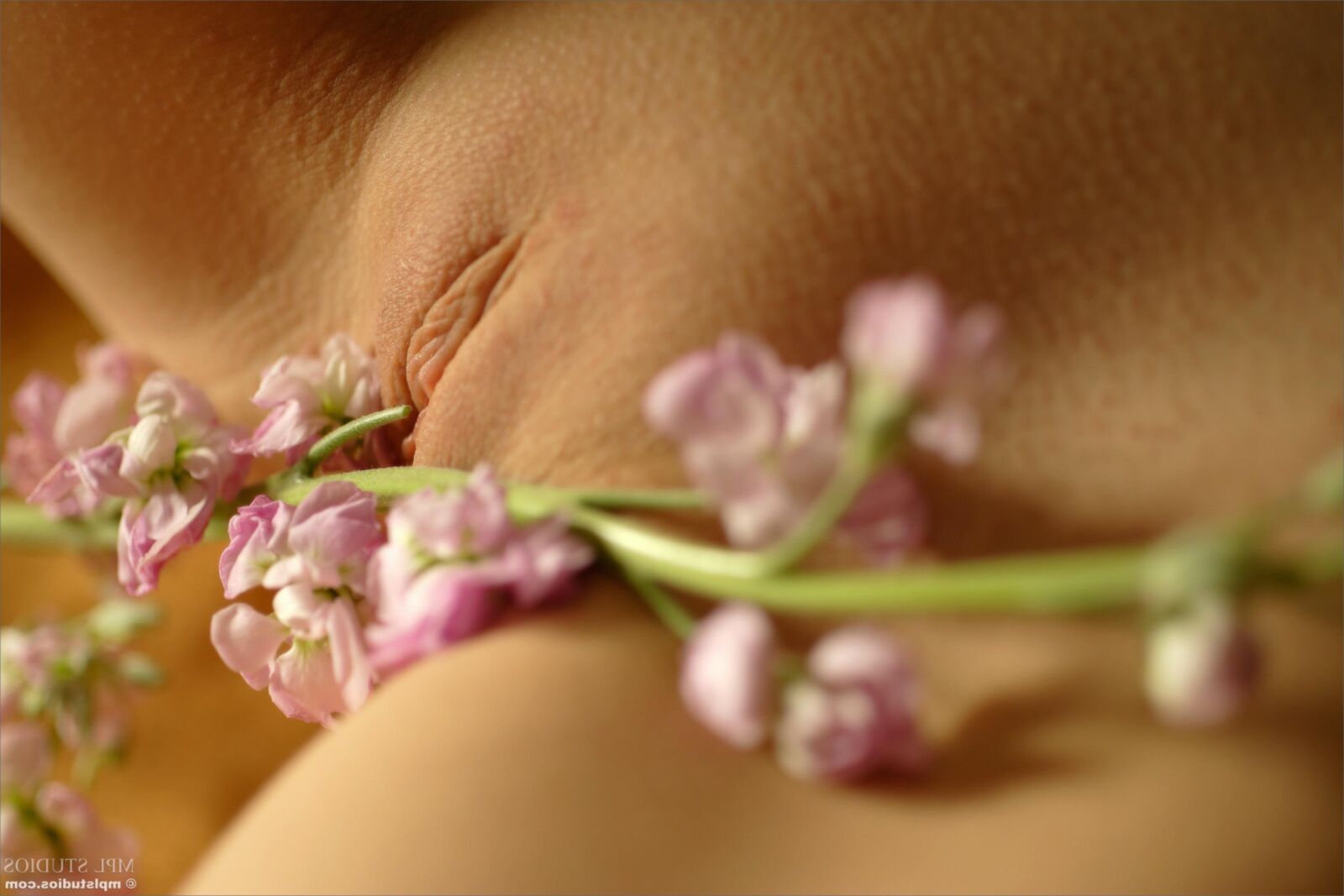 MplStudios Ava Petals au printemps