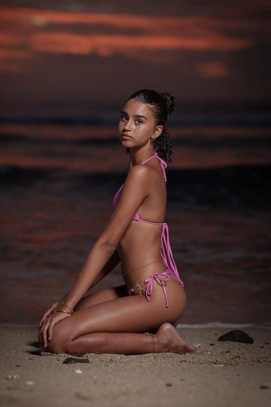 Perra en la playa